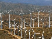 Transition énergétique et énergies renouvelables : Les ambitions XXL de l’Algérie