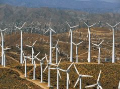 Transition énergétique et énergies renouvelables : Les ambitions XXL de l’Algérie